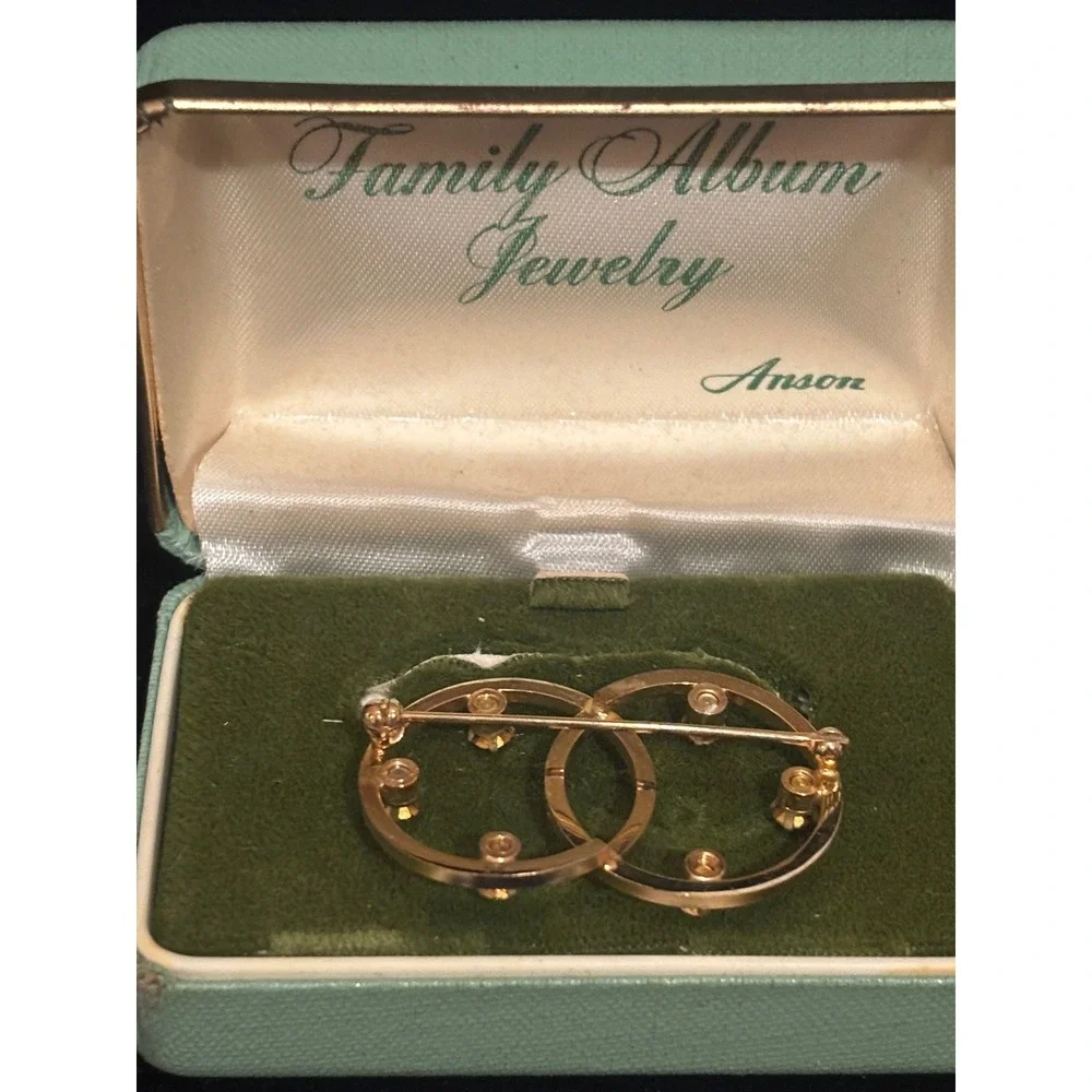 Vintage Anson Family Album Jewelry Gold Tone Multi Stone Double Circle Brooch